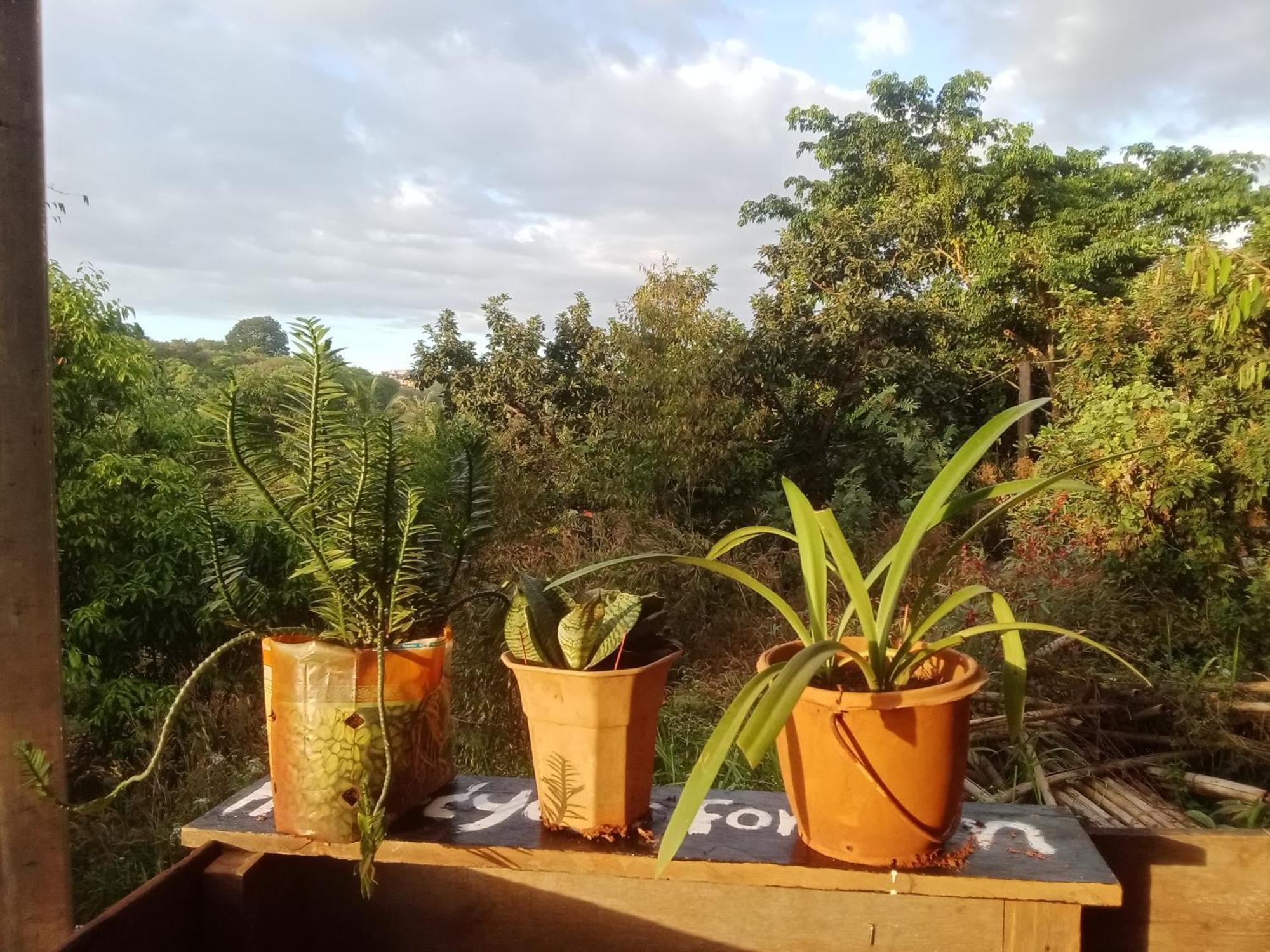Srey Leap Homestay 반룽 외부 사진